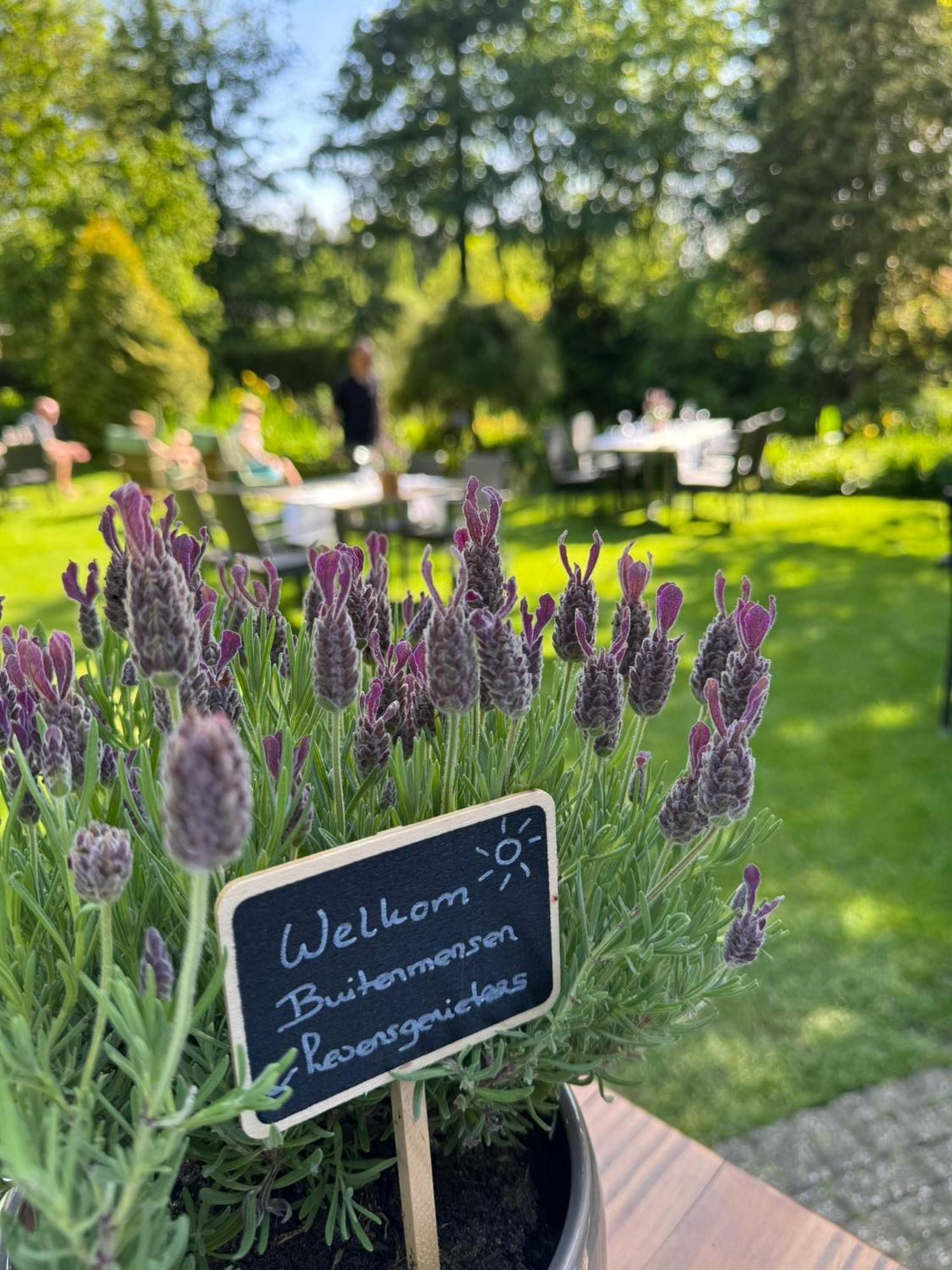 Witte Berken Natuurhotel Epe Eksteriør bilde